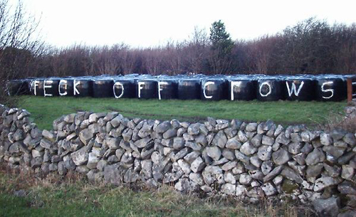 Irish Scarecrow