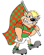 Sam for Mayo
