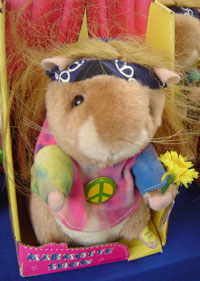 Hippie Hamster