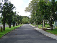 Shamrock Lodge Hotel