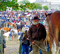 Ballinasloe Horse Fair