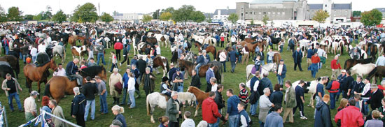 Ballinasloe Horse Fair