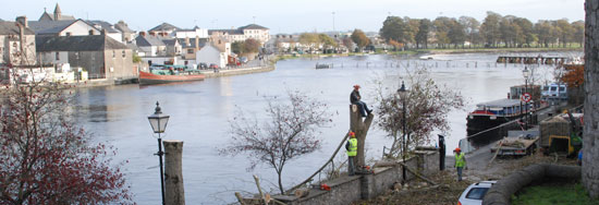 Trees felled in Athlone
