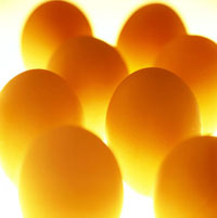 eggs