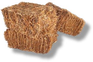 bales of hay