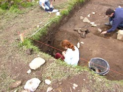 Archaeological dig at Abbeylara, County Longford, Ireland