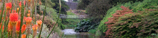 moate and flowers on Birr Castle grounds