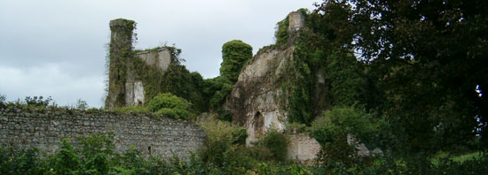 Moydrum Castle, Athlone