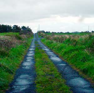 Irish road with grass growing in the middle