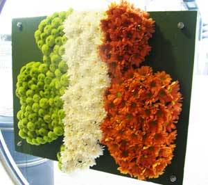 An Irish shamrock flag made out of flowers seen at Dublin Airport