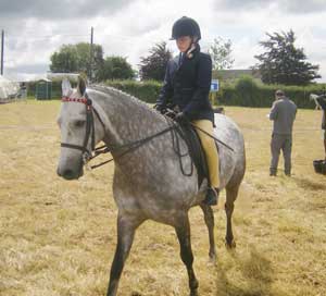 horse and rider at the athlone agri festival
