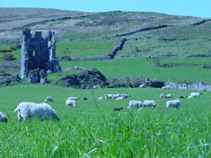 castle in Dingle, ireland