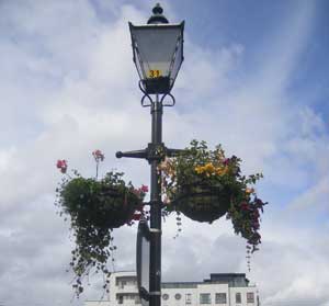 Flower baskets in Athlone