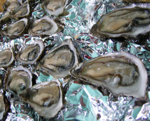 oysters and murphy's irish stout in Sean's Bar, Athlone