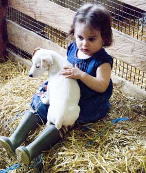 puppy and girl at glendeer pet farm in Athlone, county Roscommon