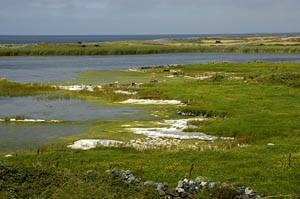 august-in-galway