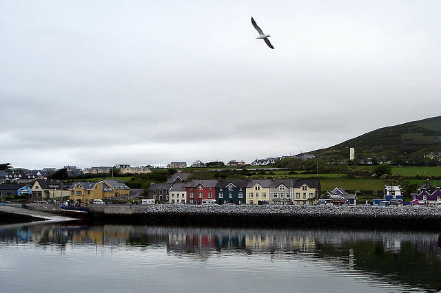 dingle